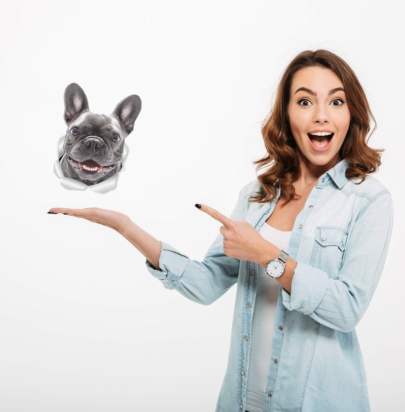 Winston Bear Winston & Bear Smiling Frenchie Dog Wall Decals - 2 Pack - French Bulldog 3D Sticker Decals for Walls, Cars, Toilet and More - Retail Packaged French Bulldog Gifts - Image 2